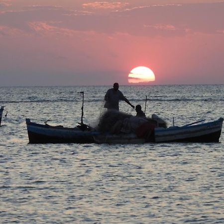 MezraneDar Chick Yahia Ile De Djerba住宿加早餐旅馆 外观 照片